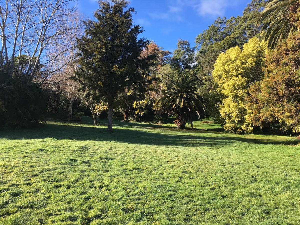 Te Puia Hot Springs Hotel Exterior photo